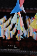 DSC_5125.jpg