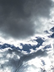 506988