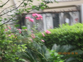 9DC88D2C-2A6B-4411-A769-D52E138490C2/L0/001