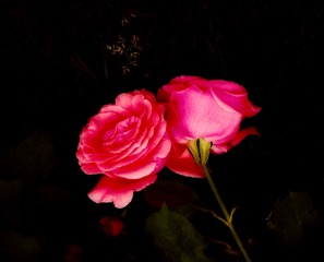 799BCA18-81B9-4C24-9333-8EE0B1CE742E/L0/001