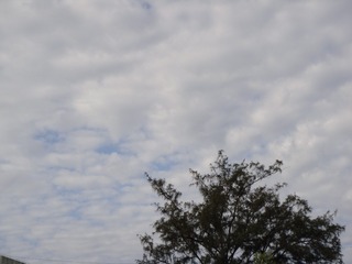 122206