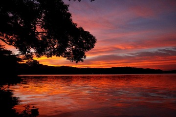 _MG_1795.JPG