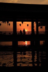IMG_5015.JPG