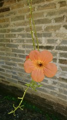79F2323B-7787-4E2A-BDA5-4C87079DB199/L0/001