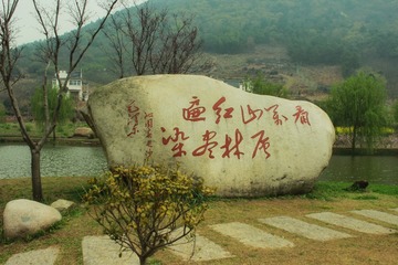 1496217