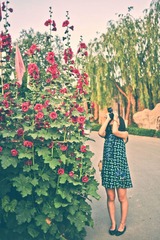 _YAO3320