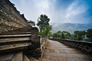 _YAO3694