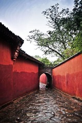 _YAO3726