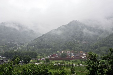 _YAO3732