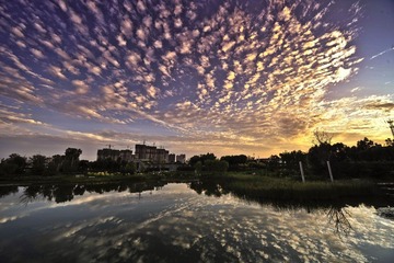 _YAO5693