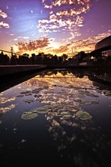 _YAO5728
