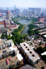 _DSC0743.jpg