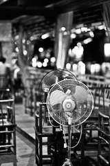 _DSC7895