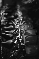 _DSC8104