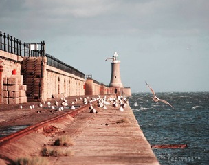 tynemouth1