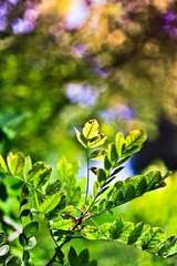 _DSC9568