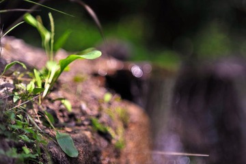 _DSC9713