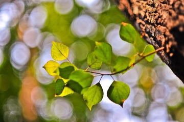 _DSC9760