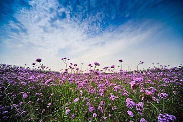 _DSC1680