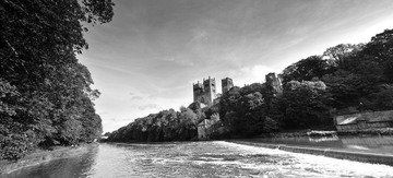 _DSC2115