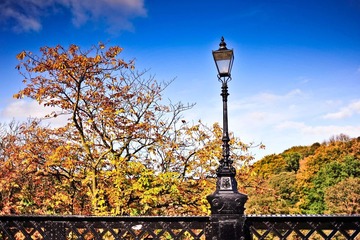 Jesmond Dene