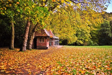 Jesmond Dene