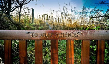 To old friends