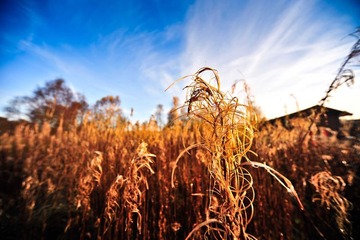 _DSC4977-1