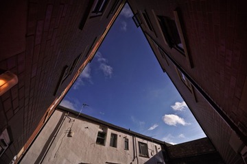 YAO_7736-1