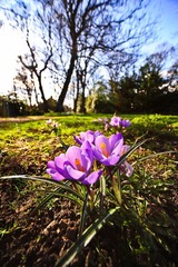 YAO_8340-1