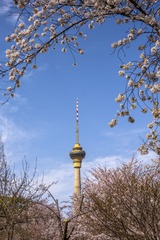 国家美术馆