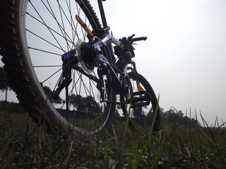 DSCF0506.JPG