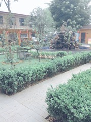 DDDCE926-2C79-4C8B-BCEA-3BEDD97B94F8/L0/001