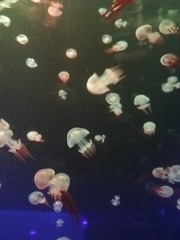 9784