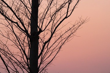 IMG_7267.JPG