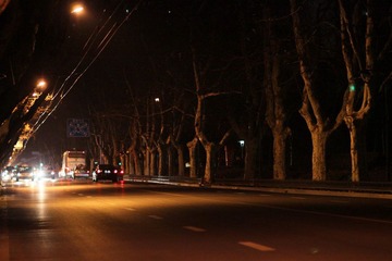 IMG_7282.JPG