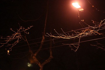 IMG_7293.JPG