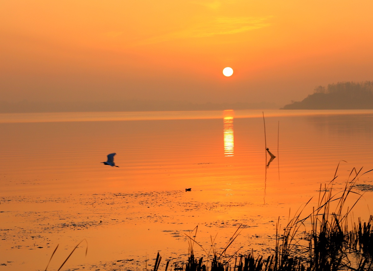 湖边看日出