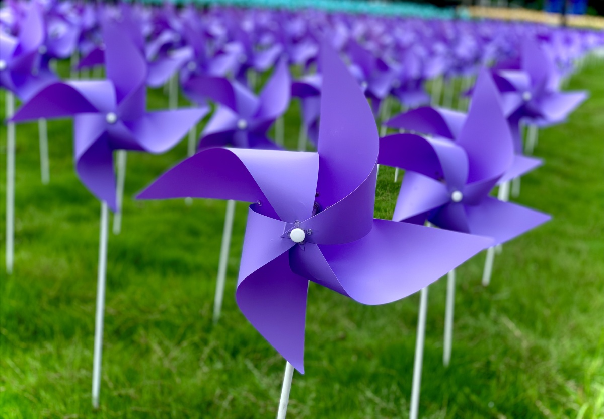 偶遇一片风车园五彩绚烂风一吹是童年的色彩