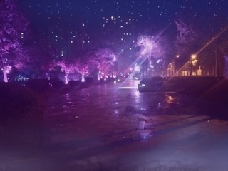 1365181