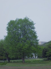 37AF2886-1DF9-44D3-B648-5ED53D2FA627/L0/001