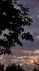 7D1C877A-59C9-4F37-A116-19059EC4DCE0/L0/001