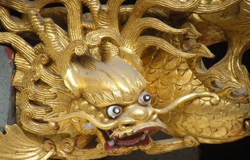 龙转头