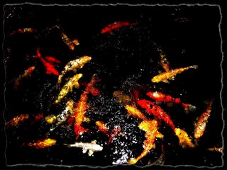 争食 (2)