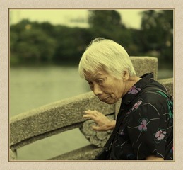 桥