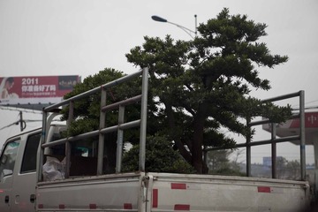 出行随拍 (4)