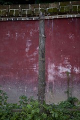 生与死，空与俗