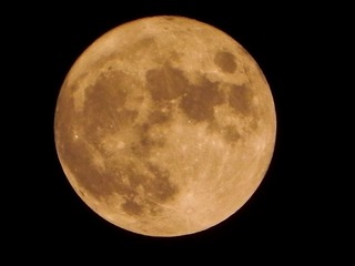 6BFA7514-8D2C-4B60-9613-26840C83828E/L0/001
