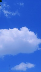 B95DF50C-B79A-4977-99C3-F89A896C8A41/L0/001