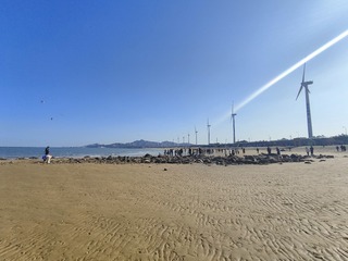 1000015444